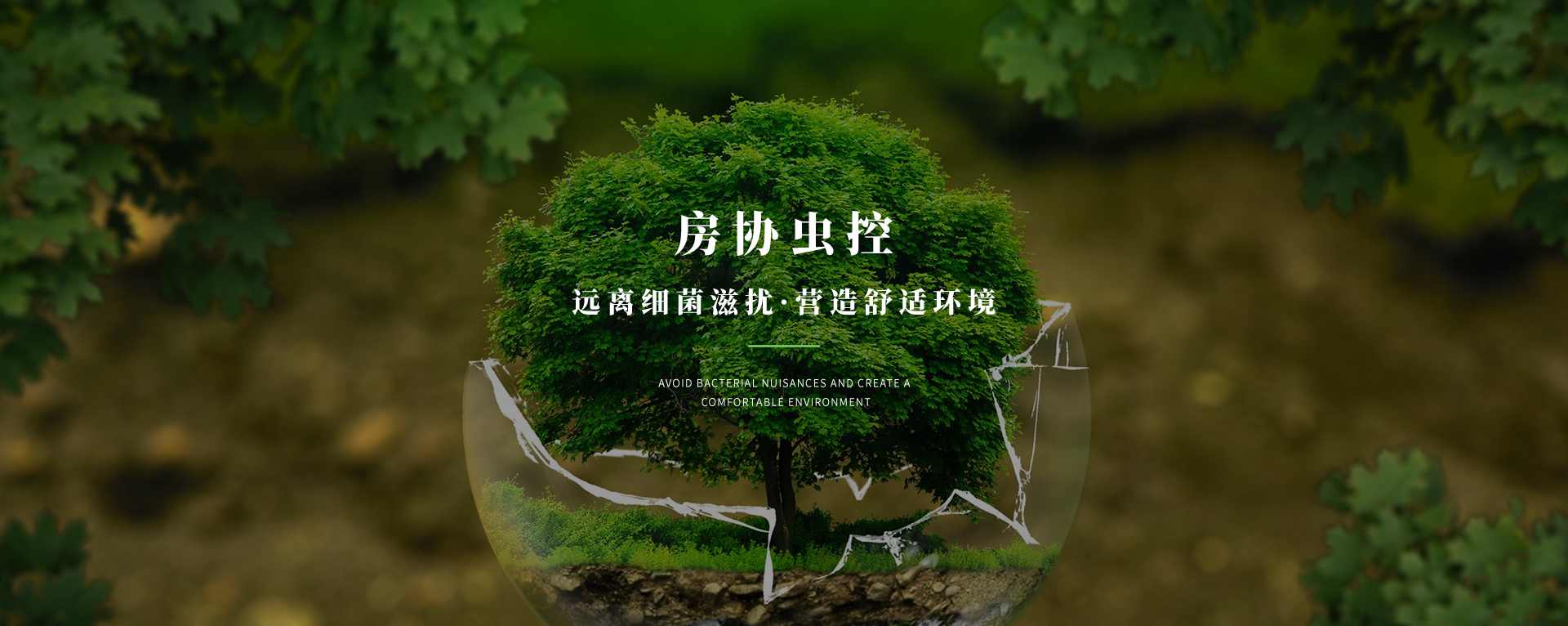 江門(mén)除四害